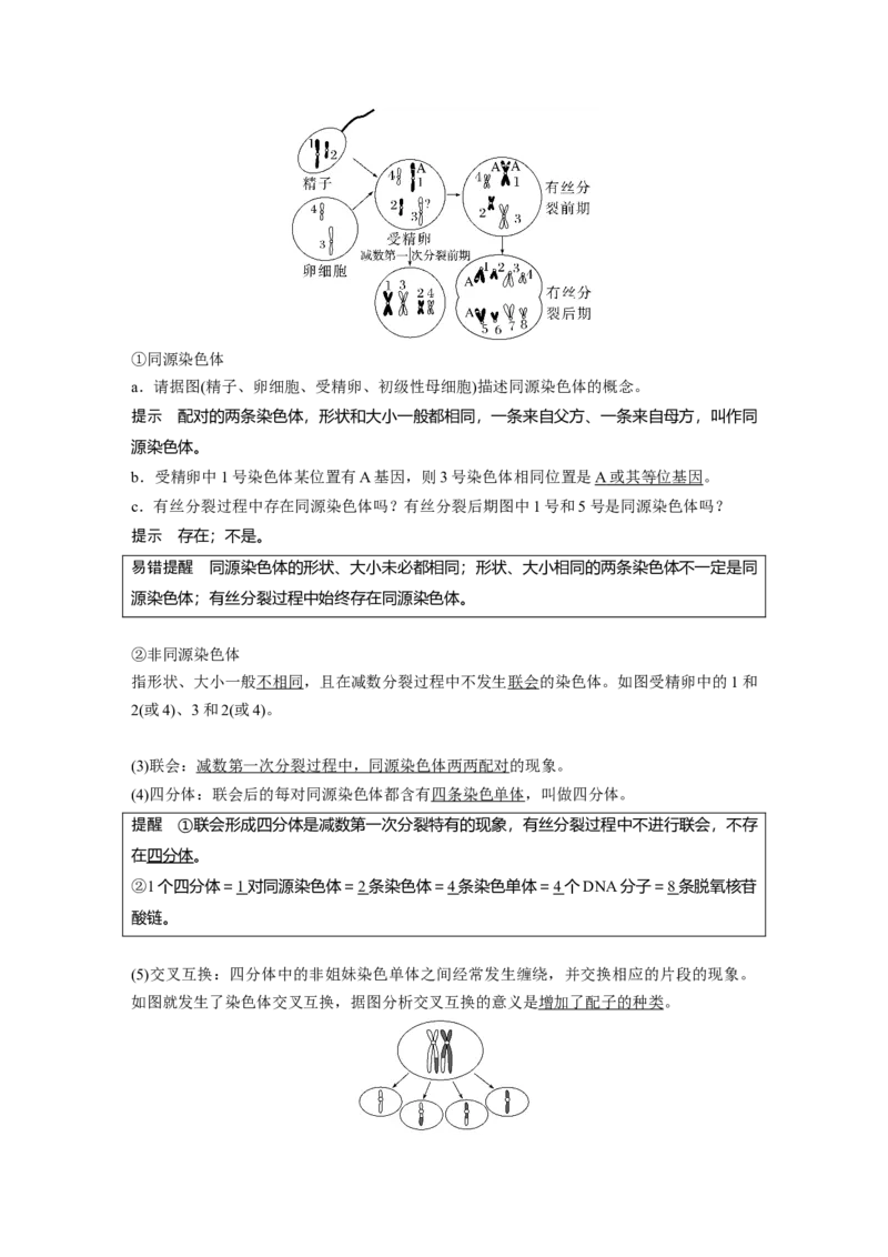 2023年高考生物一轮复习（全国版）第4单元第3课时　减数分裂和受精作用的过程分析_通用版（老高考）复习资料_2023年复习资料_一轮复习_2023年高考生物一轮复习讲义+课件（全国版）