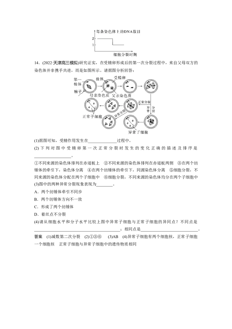 2023年高考生物一轮复习（全国版）第4单元第3课时　减数分裂和受精作用的过程分析_通用版（老高考）复习资料_2023年复习资料_一轮复习_2023年高考生物一轮复习讲义+课件（全国版）
