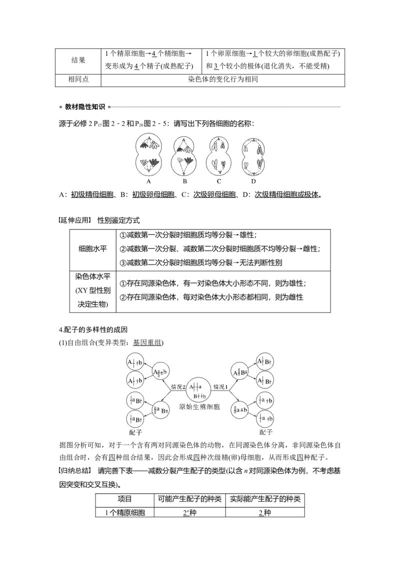 2023年高考生物一轮复习（全国版）第4单元第3课时　减数分裂和受精作用的过程分析_通用版（老高考）复习资料_2023年复习资料_一轮复习_2023年高考生物一轮复习讲义+课件（全国版）