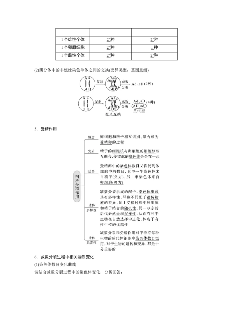 2023年高考生物一轮复习（全国版）第4单元第3课时　减数分裂和受精作用的过程分析_通用版（老高考）复习资料_2023年复习资料_一轮复习_2023年高考生物一轮复习讲义+课件（全国版）