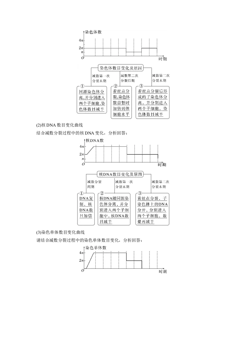 2023年高考生物一轮复习（全国版）第4单元第3课时　减数分裂和受精作用的过程分析_通用版（老高考）复习资料_2023年复习资料_一轮复习_2023年高考生物一轮复习讲义+课件（全国版）