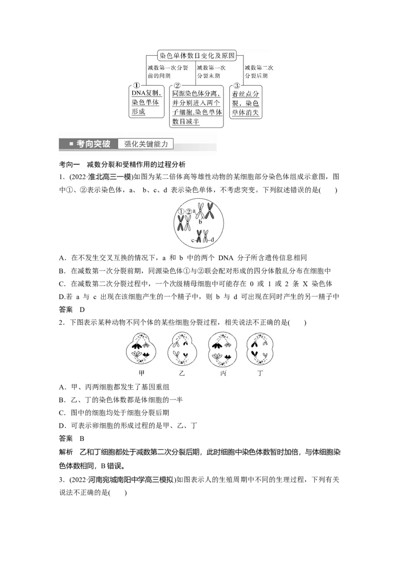 2023年高考生物一轮复习（全国版）第4单元第3课时　减数分裂和受精作用的过程分析_通用版（老高考）复习资料_2023年复习资料_一轮复习_2023年高考生物一轮复习讲义+课件（全国版）