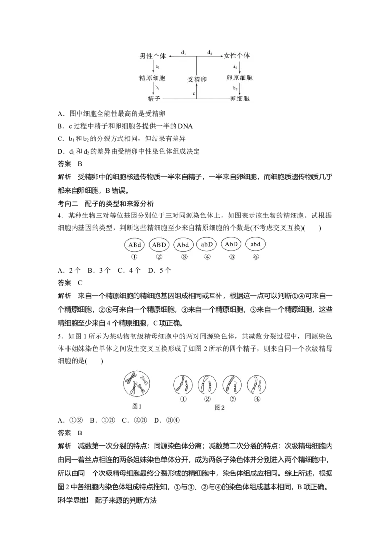 2023年高考生物一轮复习（全国版）第4单元第3课时　减数分裂和受精作用的过程分析_通用版（老高考）复习资料_2023年复习资料_一轮复习_2023年高考生物一轮复习讲义+课件（全国版）