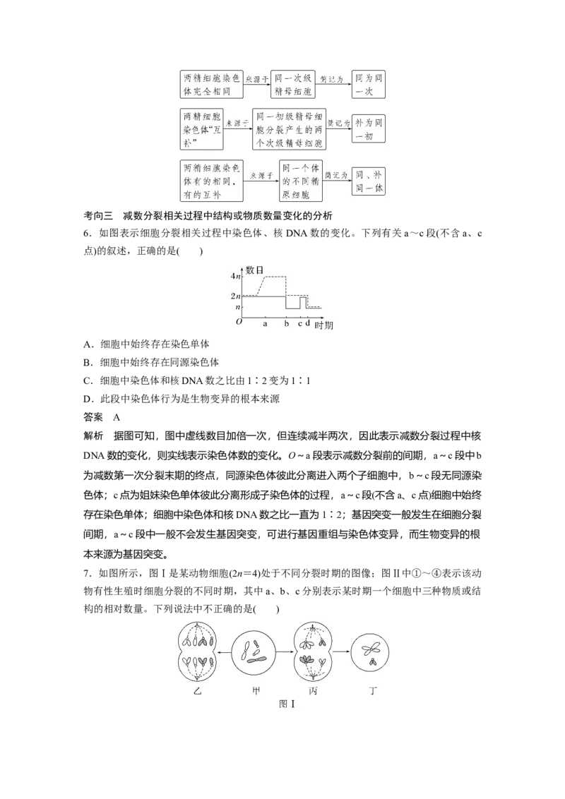 2023年高考生物一轮复习（全国版）第4单元第3课时　减数分裂和受精作用的过程分析_通用版（老高考）复习资料_2023年复习资料_一轮复习_2023年高考生物一轮复习讲义+课件（全国版）