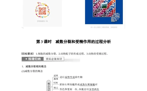 2023年高考生物一轮复习（全国版）第4单元第3课时　减数分裂和受精作用的过程分析_通用版（老高考）复习资料_2023年复习资料_一轮复习_2023年高考生物一轮复习讲义+课件（全国版）