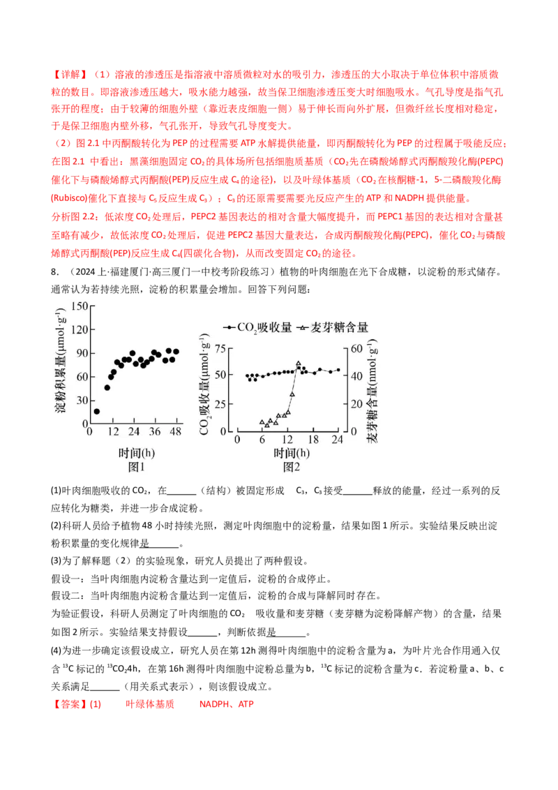 热点02C3植物、C4植物和CAM植物的光合作用（解析版）_2024年新高考资料_3.2024专项复习_2024年高考生物热点&middot;重点&middot;难点专练（新高考专用）