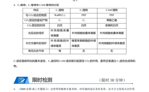 热点02C3植物、C4植物和CAM植物的光合作用（解析版）_2024年新高考资料_3.2024专项复习_2024年高考生物热点&middot;重点&middot;难点专练（新高考专用）