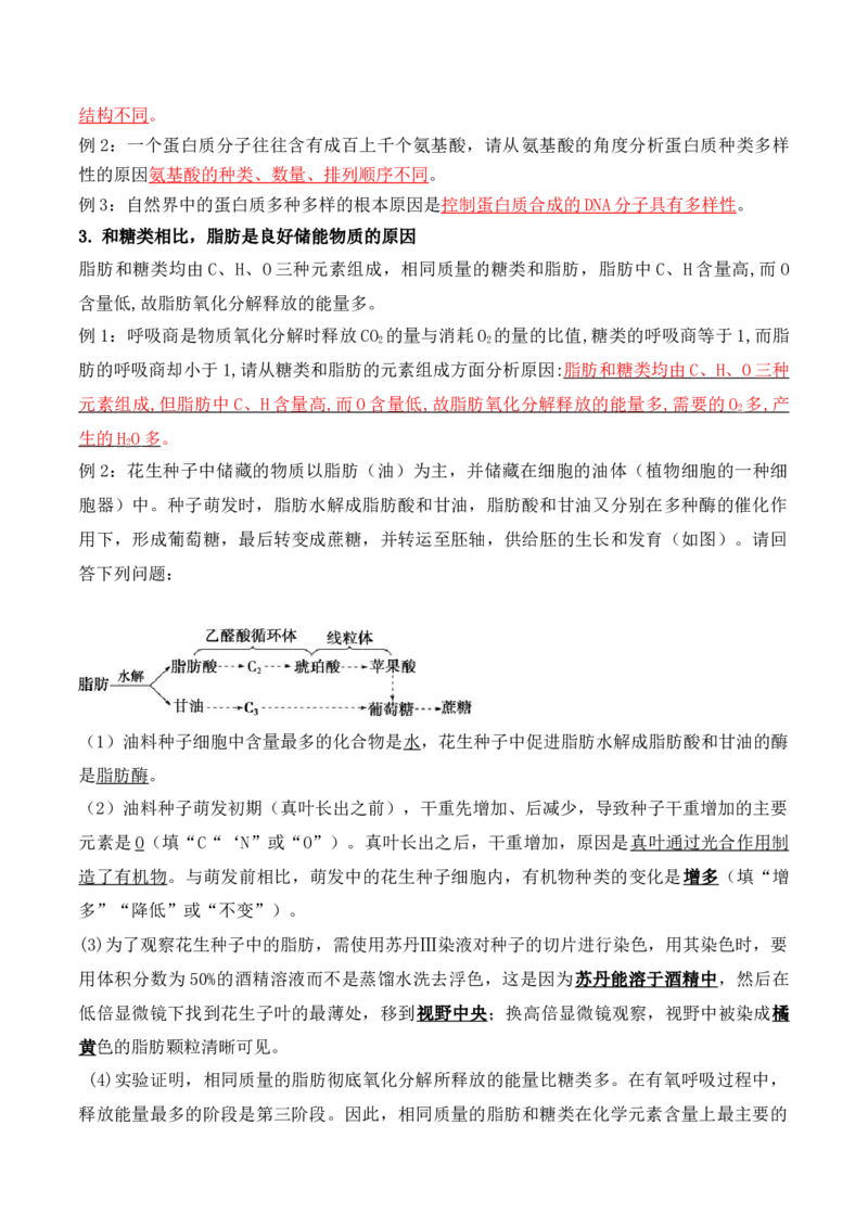 第01讲细胞中的元素和化合物（讲义）解析版_2024年新高考资料_2.2024二轮复习_2024年高考生物二轮复习讲练测（新教材新高考）