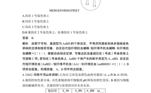 热点微练11探究不同的基因在常染色体上的位置（尖子生特训）_2024年新高考资料_1.2024一轮复习_2024年高考生物一轮复习讲义（新人教版）_另附1套Word版题库_必修2_第五单元遗传的基本规律