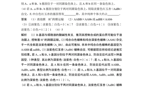 热点微练11探究不同的基因在常染色体上的位置（尖子生特训）_2024年新高考资料_1.2024一轮复习_2024年高考生物一轮复习讲义（新人教版）_另附1套Word版题库_必修2_第五单元遗传的基本规律