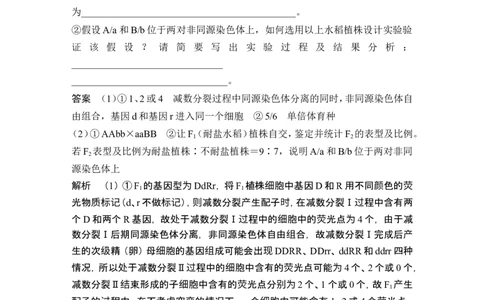 热点微练11探究不同的基因在常染色体上的位置（尖子生特训）_2024年新高考资料_1.2024一轮复习_2024年高考生物一轮复习讲义（新人教版）_另附1套Word版题库_必修2_第五单元遗传的基本规律