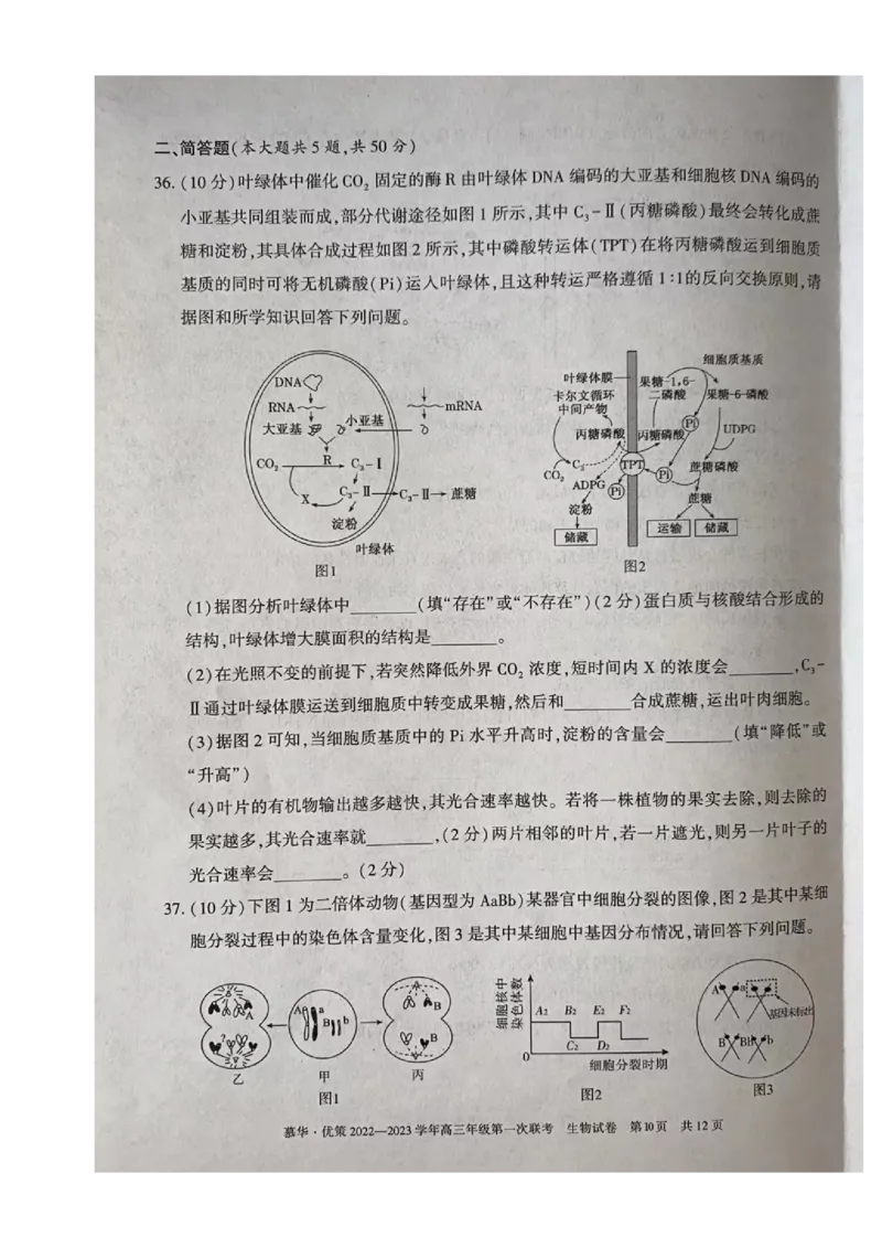 2023届新疆维吾尔自治区高三年级第一次联考生物（试卷）_生物高考模拟题_新高考_2023年_新疆维吾尔自治区慕华&middot;优策2022-2023学年高三上学期第一次联考生物试题