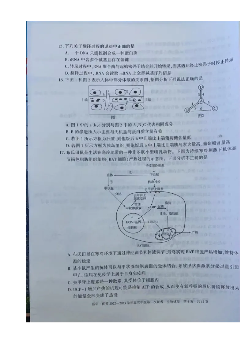 2023届新疆维吾尔自治区高三年级第一次联考生物（试卷）_生物高考模拟题_新高考_2023年_新疆维吾尔自治区慕华&middot;优策2022-2023学年高三上学期第一次联考生物试题
