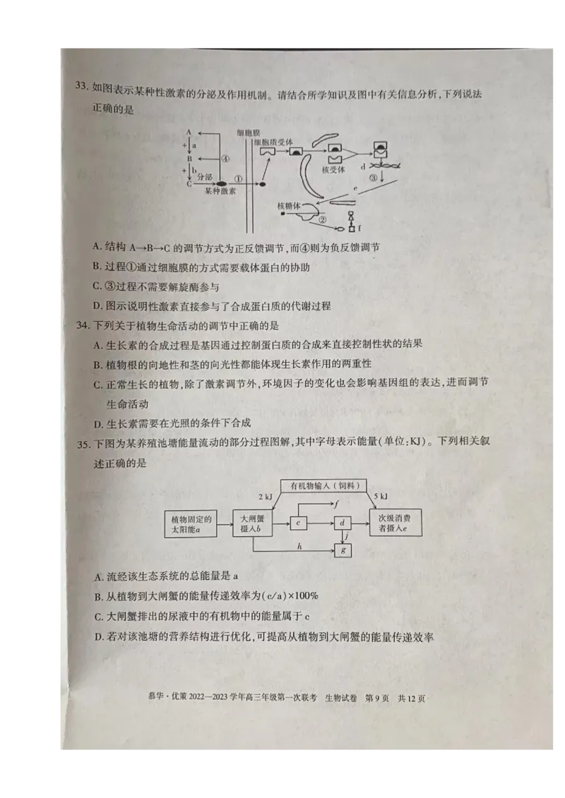 2023届新疆维吾尔自治区高三年级第一次联考生物（试卷）_生物高考模拟题_新高考_2023年_新疆维吾尔自治区慕华&middot;优策2022-2023学年高三上学期第一次联考生物试题