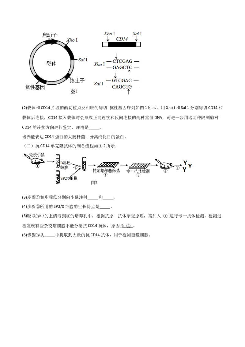 知识清单21细胞工程（原卷版）_2024年新高考资料_1.2024一轮复习_2024年高考生物一轮复习知识清单