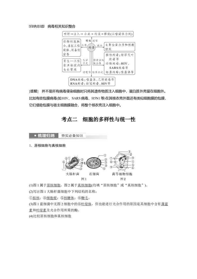 2023年高考生物一轮复习（新人教新高考）第1单元第1课时　走近细胞_新高考复习资料_2023年新高考复习资料_一轮复习_2023年新高考大一轮复习讲义