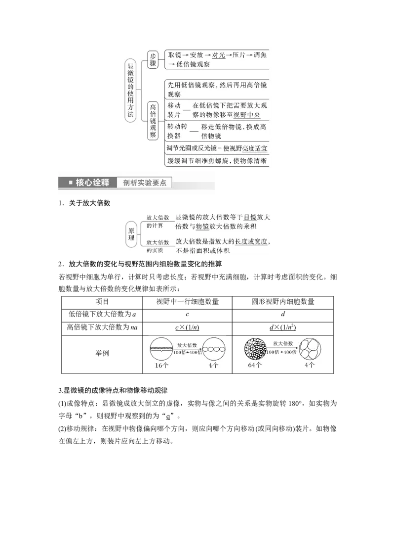 2023年高考生物一轮复习（新人教新高考）第1单元第1课时　走近细胞_新高考复习资料_2023年新高考复习资料_一轮复习_2023年新高考大一轮复习讲义