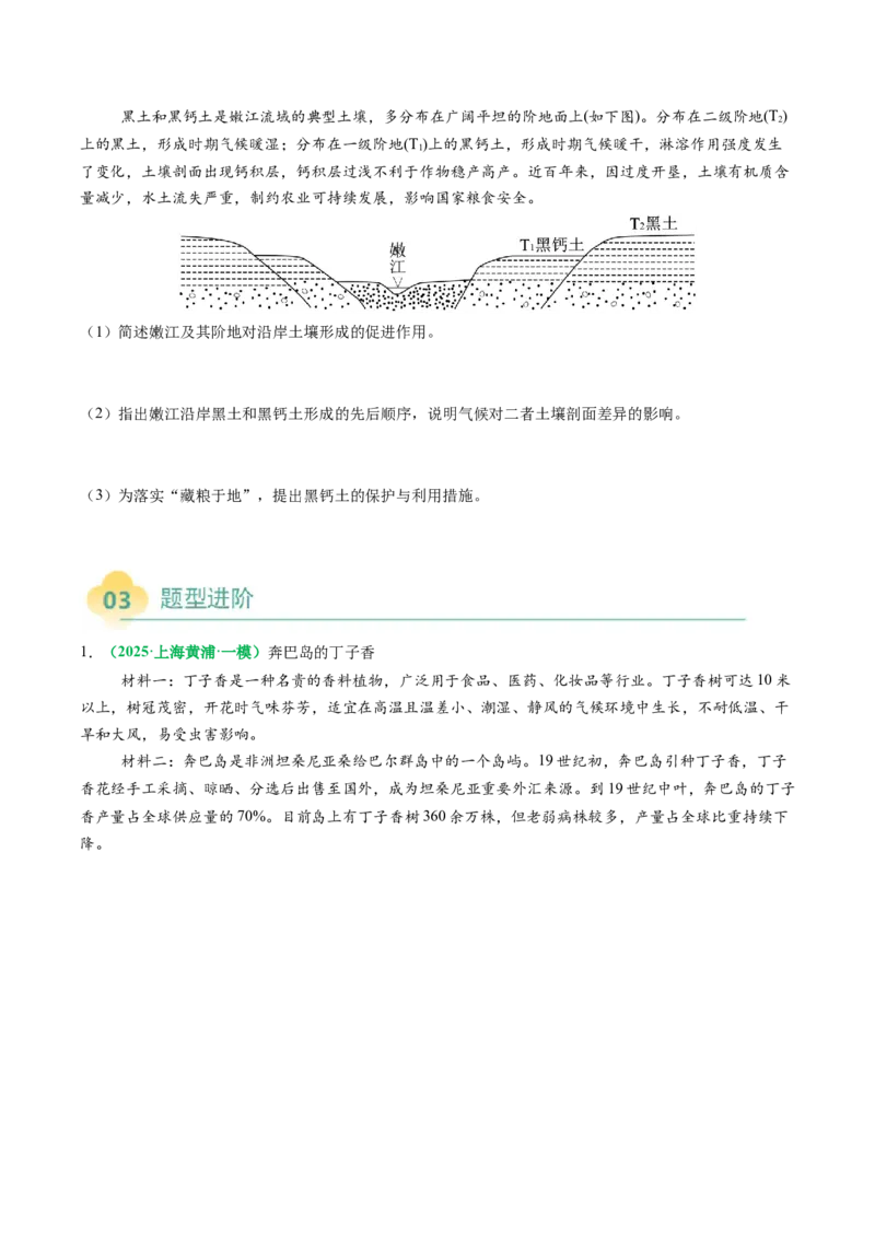 专题20土壤热点问题描述的方法技巧（原卷版）_2025年新高考资料_二轮复习_2025年高三地理高考二轮复习专项提升（新高考通用）3405802_题型专练