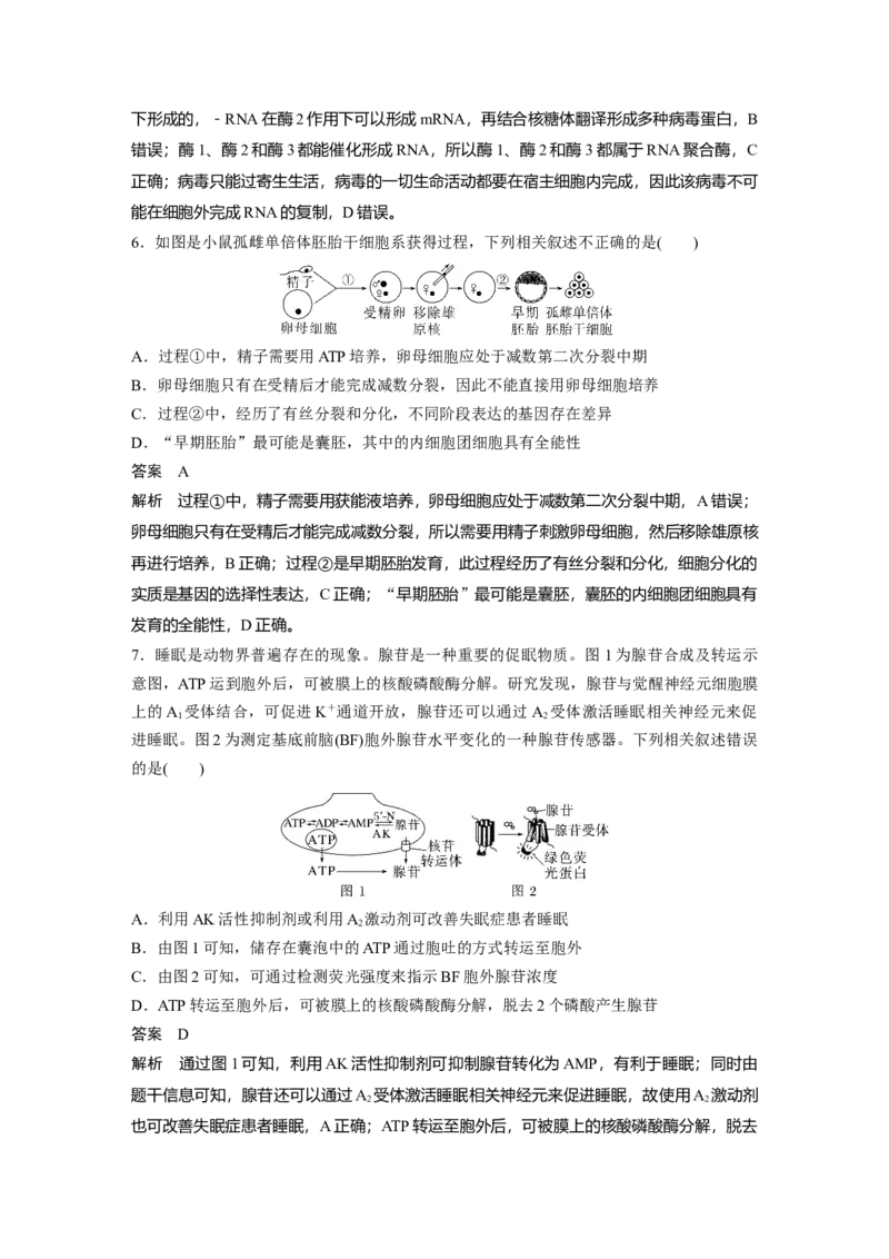 2023年高考生物二轮复习（全国版）第3篇考前特训专项一(四)图示图解类_通用版（老高考）复习资料_2023年复习资料_二轮复习_2023年高考生物二轮复习讲义+课件（全国版）