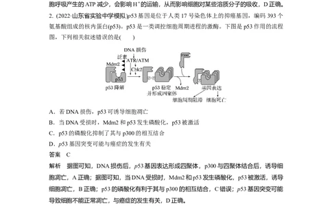 2023年高考生物二轮复习（全国版）第3篇考前特训专项一(四)图示图解类_通用版（老高考）复习资料_2023年复习资料_二轮复习_2023年高考生物二轮复习讲义+课件（全国版）