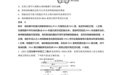 2023年高考生物二轮复习（全国版）第3篇考前特训专项一(四)图示图解类_通用版（老高考）复习资料_2023年复习资料_二轮复习_2023年高考生物二轮复习讲义+课件（全国版）