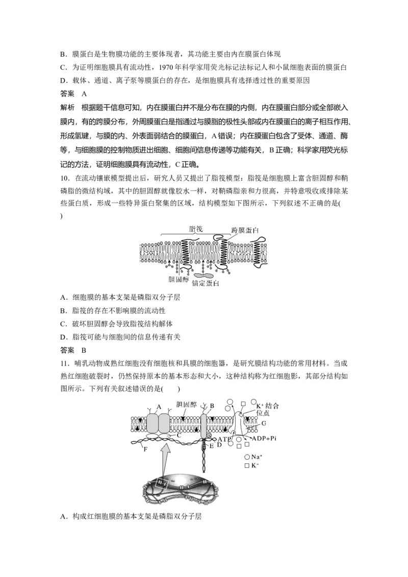 2023年高考生物一轮复习（新人教新高考）第2单元第1课时　细胞膜的结构和功能_新高考复习资料_2023年新高考复习资料_一轮复习_2023年新高考大一轮复习讲义
