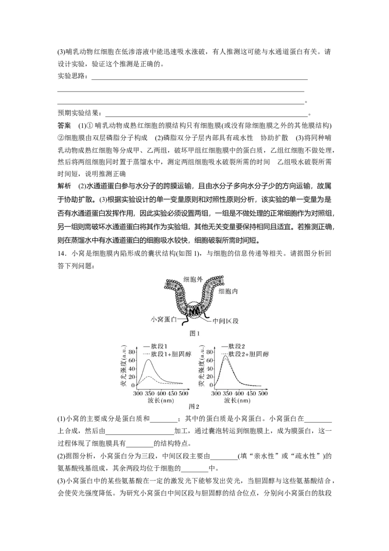 2023年高考生物一轮复习（新人教新高考）第2单元第1课时　细胞膜的结构和功能_新高考复习资料_2023年新高考复习资料_一轮复习_2023年新高考大一轮复习讲义