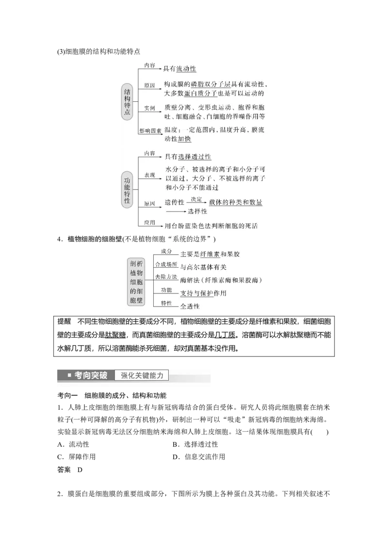 2023年高考生物一轮复习（新人教新高考）第2单元第1课时　细胞膜的结构和功能_新高考复习资料_2023年新高考复习资料_一轮复习_2023年新高考大一轮复习讲义