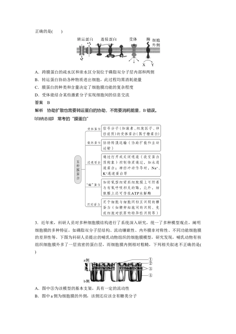 2023年高考生物一轮复习（新人教新高考）第2单元第1课时　细胞膜的结构和功能_新高考复习资料_2023年新高考复习资料_一轮复习_2023年新高考大一轮复习讲义