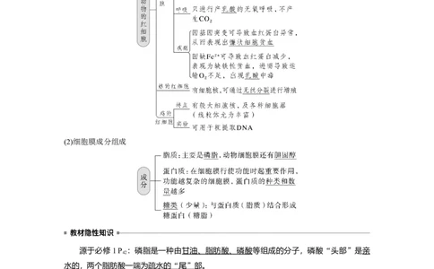 2023年高考生物一轮复习（新人教新高考）第2单元第1课时　细胞膜的结构和功能_新高考复习资料_2023年新高考复习资料_一轮复习_2023年新高考大一轮复习讲义