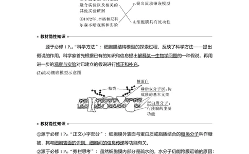 2023年高考生物一轮复习（新人教新高考）第2单元第1课时　细胞膜的结构和功能_新高考复习资料_2023年新高考复习资料_一轮复习_2023年新高考大一轮复习讲义
