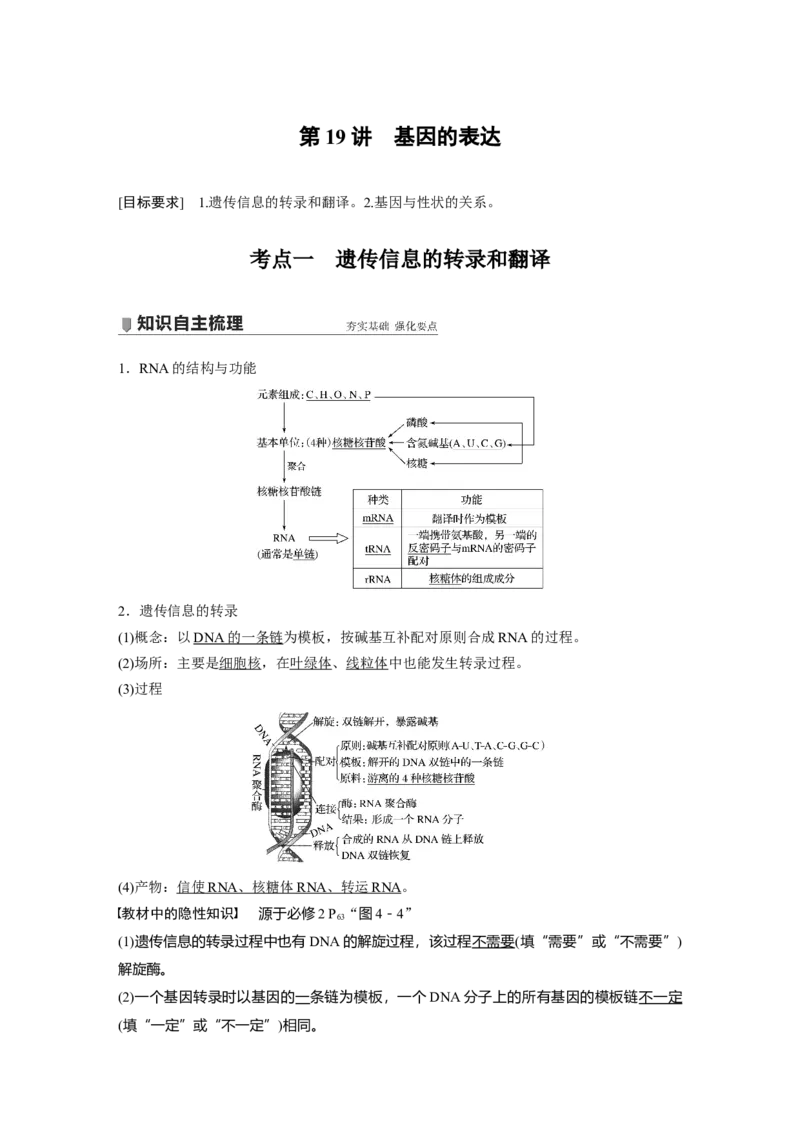 2022年高考生物一轮复习第6单元第19讲　基因的表达_新高考复习资料_2022年新高考复习资料_2022年一轮复习最新版_1.2022年高考生物一轮复习全国通用版