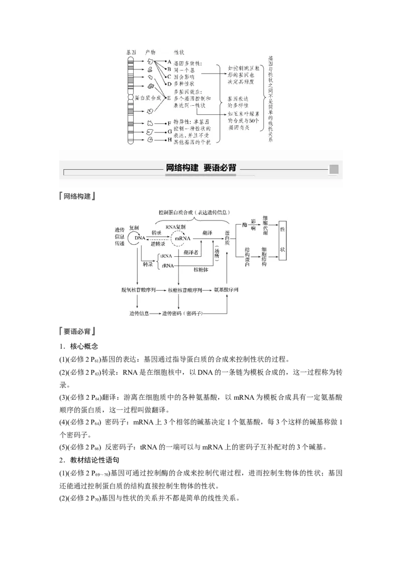 2022年高考生物一轮复习第6单元第19讲　基因的表达_新高考复习资料_2022年新高考复习资料_2022年一轮复习最新版_1.2022年高考生物一轮复习全国通用版