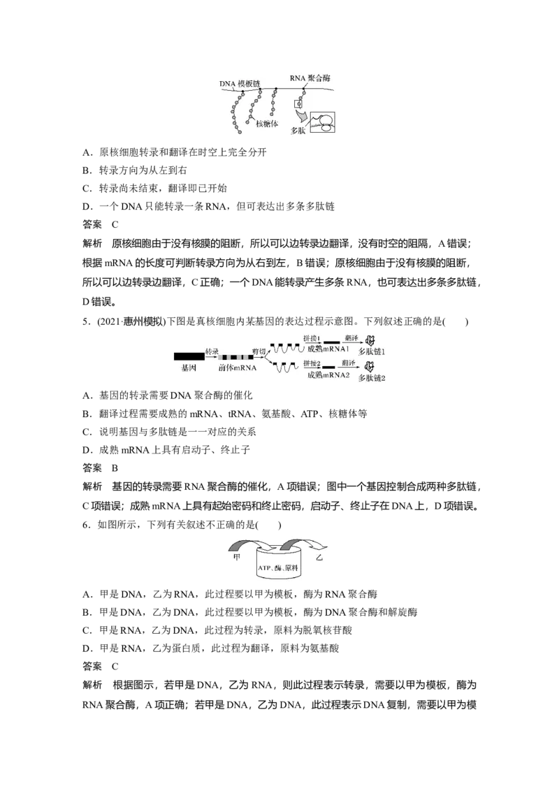 2022年高考生物一轮复习第6单元第19讲　基因的表达_新高考复习资料_2022年新高考复习资料_2022年一轮复习最新版_1.2022年高考生物一轮复习全国通用版