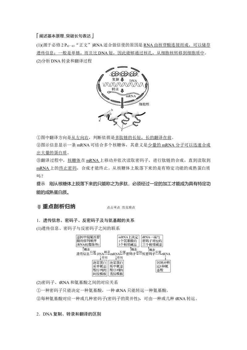 2022年高考生物一轮复习第6单元第19讲　基因的表达_新高考复习资料_2022年新高考复习资料_2022年一轮复习最新版_1.2022年高考生物一轮复习全国通用版