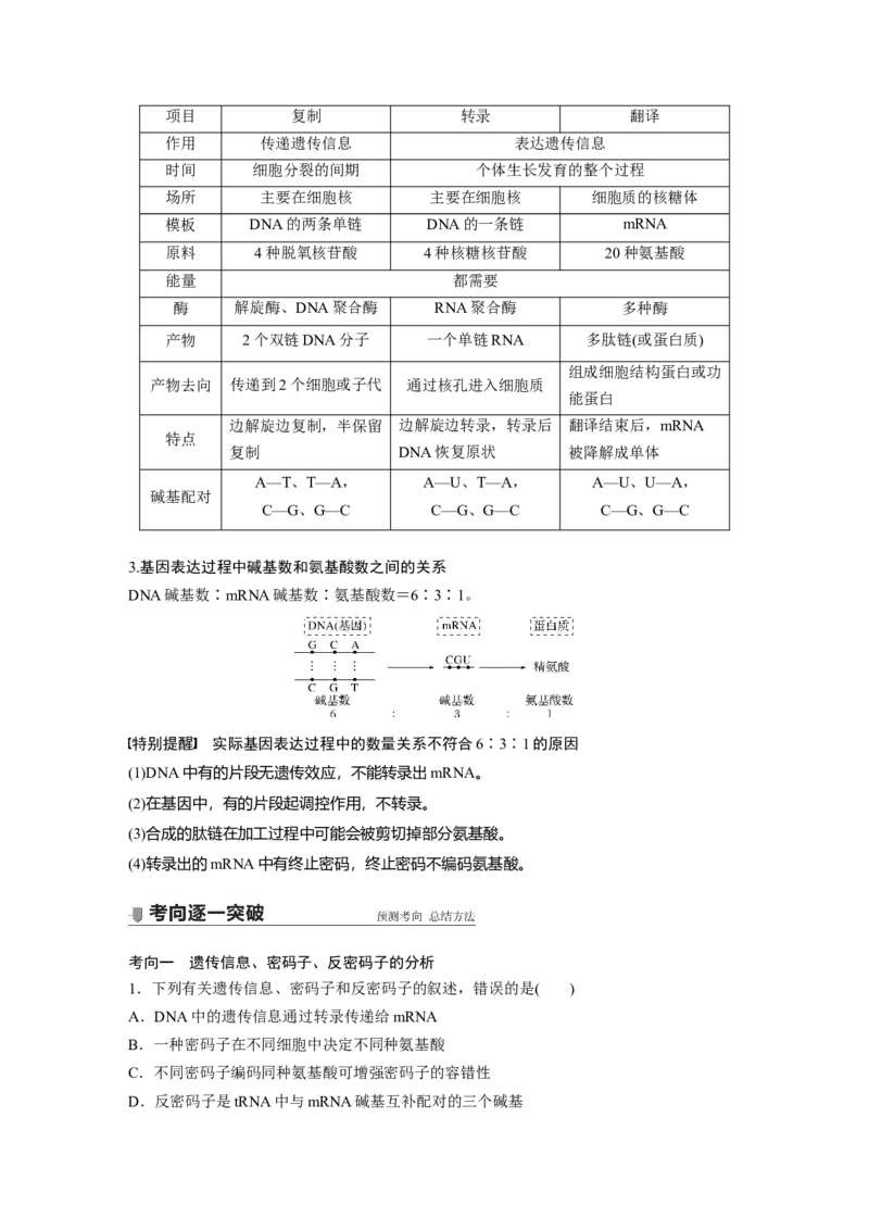 2022年高考生物一轮复习第6单元第19讲　基因的表达_新高考复习资料_2022年新高考复习资料_2022年一轮复习最新版_1.2022年高考生物一轮复习全国通用版