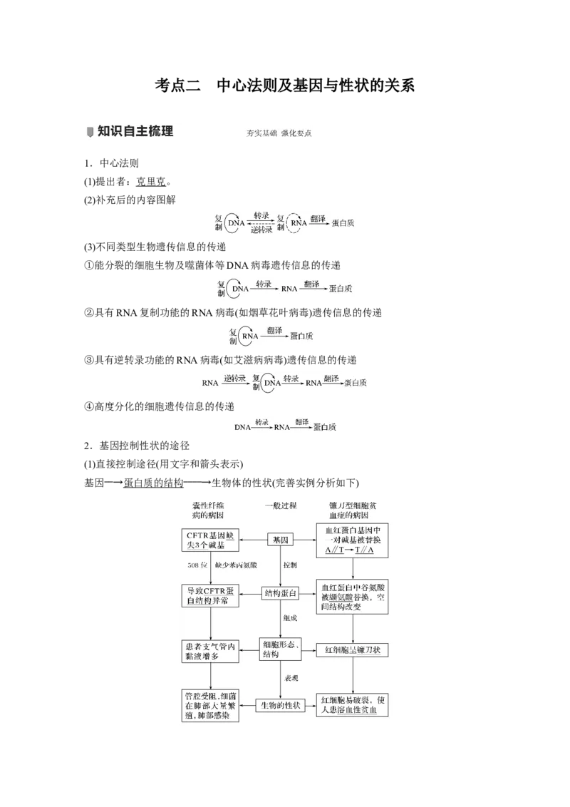 2022年高考生物一轮复习第6单元第19讲　基因的表达_新高考复习资料_2022年新高考复习资料_2022年一轮复习最新版_1.2022年高考生物一轮复习全国通用版