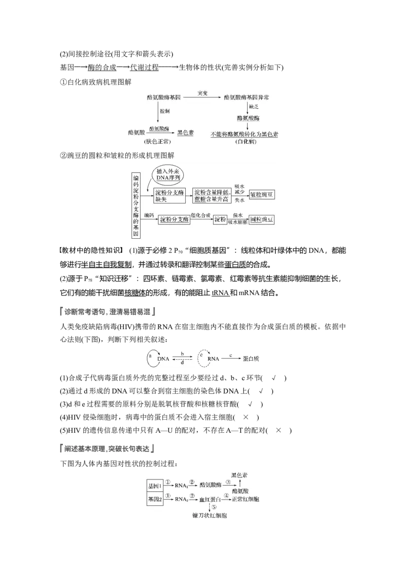 2022年高考生物一轮复习第6单元第19讲　基因的表达_新高考复习资料_2022年新高考复习资料_2022年一轮复习最新版_1.2022年高考生物一轮复习全国通用版