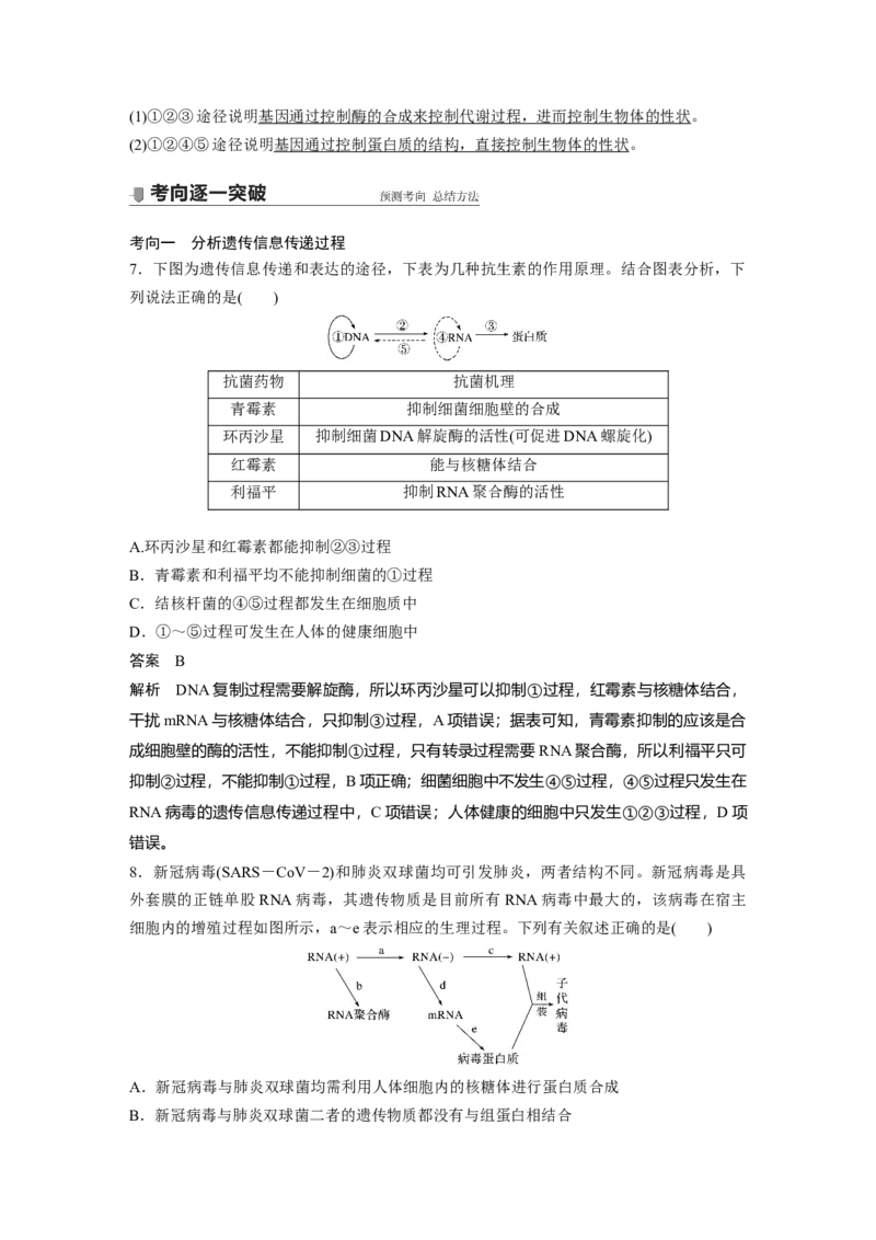 2022年高考生物一轮复习第6单元第19讲　基因的表达_新高考复习资料_2022年新高考复习资料_2022年一轮复习最新版_1.2022年高考生物一轮复习全国通用版