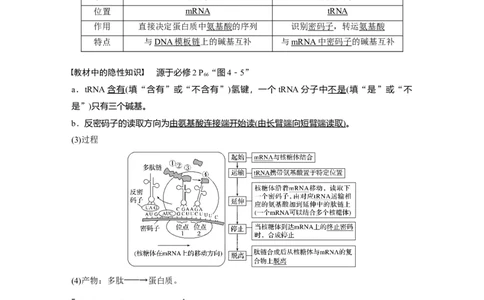 2022年高考生物一轮复习第6单元第19讲　基因的表达_新高考复习资料_2022年新高考复习资料_2022年一轮复习最新版_1.2022年高考生物一轮复习全国通用版