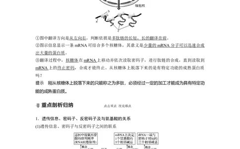 2022年高考生物一轮复习第6单元第19讲　基因的表达_新高考复习资料_2022年新高考复习资料_2022年一轮复习最新版_1.2022年高考生物一轮复习全国通用版