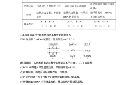 2022年高考生物一轮复习第6单元第19讲　基因的表达_新高考复习资料_2022年新高考复习资料_2022年一轮复习最新版_1.2022年高考生物一轮复习全国通用版