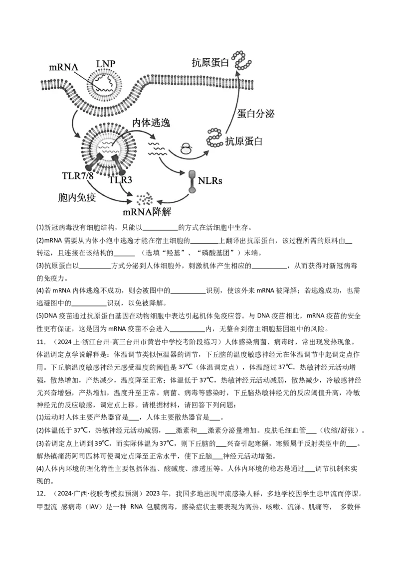 热点03病毒（原卷版）_2024年新高考资料_3.2024专项复习_2024年高考生物热点&middot;重点&middot;难点专练（新高考专用）