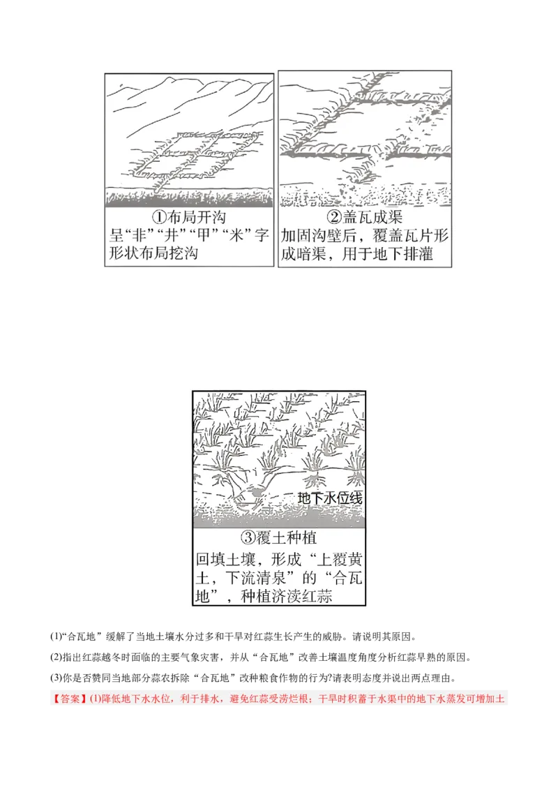 专题14世界地理和中国地理-解析版_2025年新高考资料_二轮复习_01高考语文等多个文件_2025年高三地理高考二轮复习专项提升_真题演练