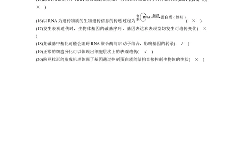 2023年高考生物二轮复习（全国版）第2篇考前必备第1部分五、遗传的分子基础_通用版（老高考）复习资料_2023年复习资料_二轮复习_2023年高考生物二轮复习讲义+课件（全国版）