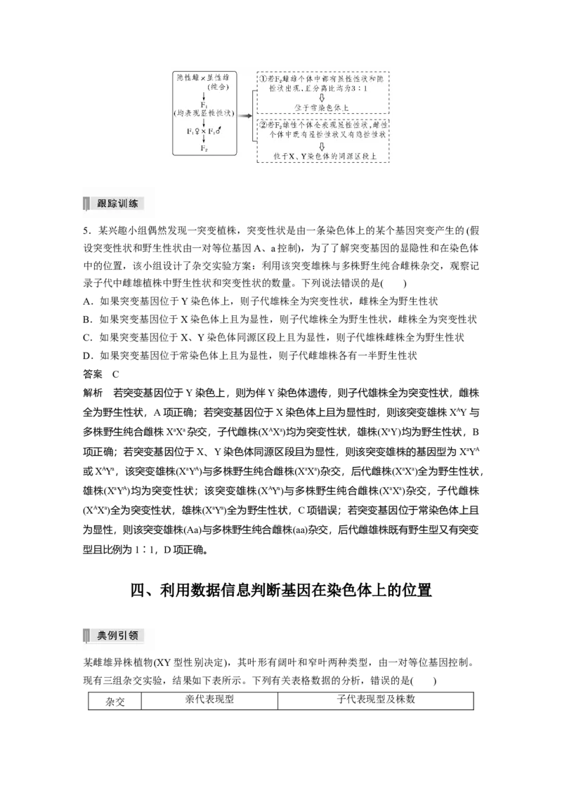 2022年高考生物一轮复习第5单元第16讲　热点题型五　基因在染色体的位置判断_新高考复习资料_2022年新高考复习资料_2022年一轮复习最新版_1.2022年高考生物一轮复习全国通用版