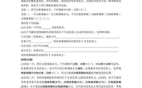 2022年高考生物一轮复习第5单元第16讲　热点题型五　基因在染色体的位置判断_新高考复习资料_2022年新高考复习资料_2022年一轮复习最新版_1.2022年高考生物一轮复习全国通用版