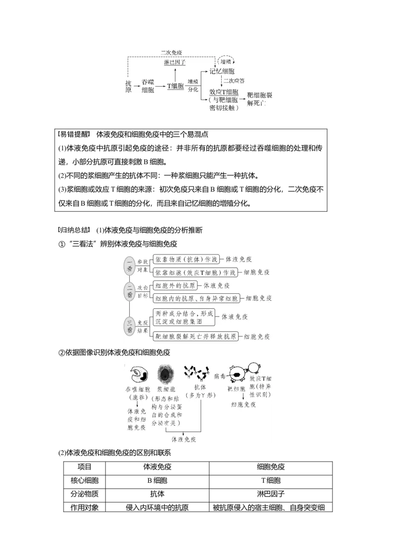 2023年高考生物一轮复习（全国版）第8单元第6课时　免疫调节_通用版（老高考）复习资料_2023年复习资料_一轮复习_2023年高考生物一轮复习讲义+课件（全国版）