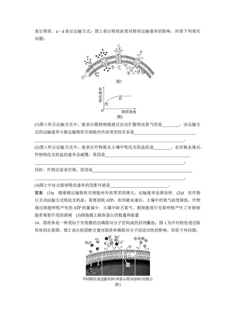 2023年高考生物一轮复习（全国版）第2单元第6课时　物质出入细胞的方式及影响因素_通用版（老高考）复习资料_2023年复习资料_一轮复习_2023年高考生物一轮复习讲义+课件（全国版）