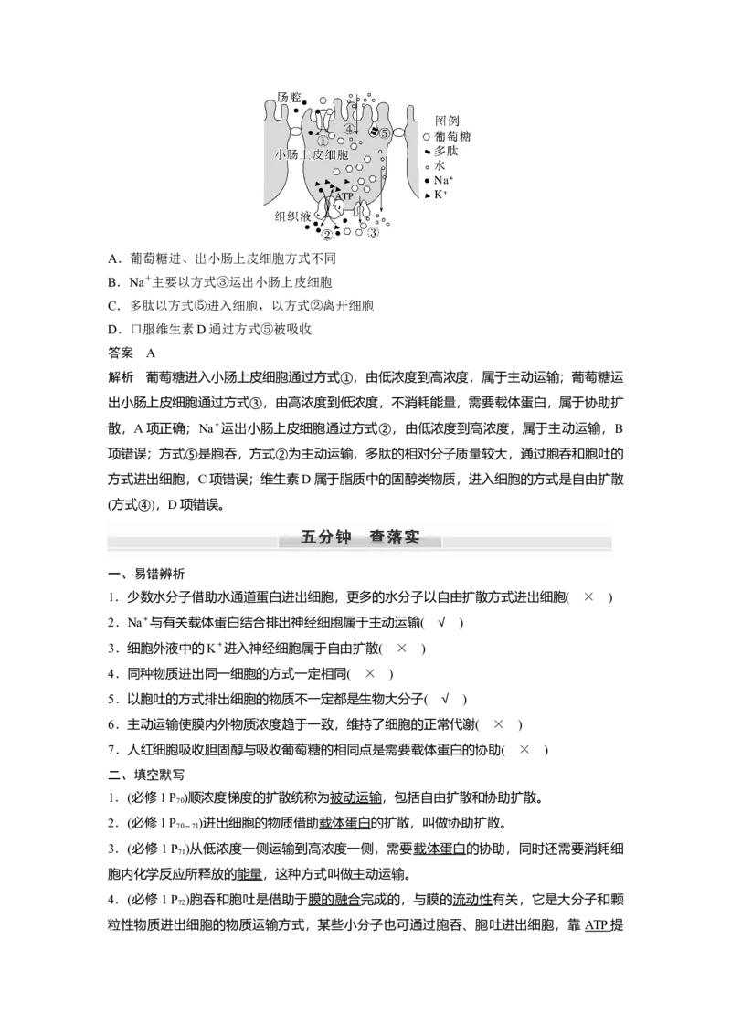 2023年高考生物一轮复习（全国版）第2单元第6课时　物质出入细胞的方式及影响因素_通用版（老高考）复习资料_2023年复习资料_一轮复习_2023年高考生物一轮复习讲义+课件（全国版）